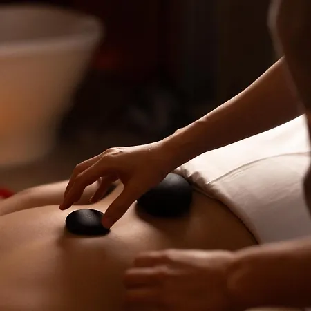 Solverde And Wellness Center Hotel