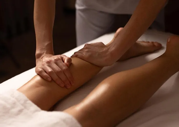 Solverde And Wellness Center 5* 빌라노바데가이아